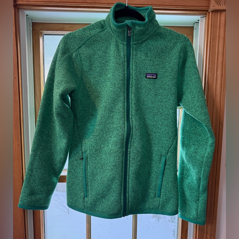 Patagonia ladies Vibrant Green Fleece Jacket size small - NWOT